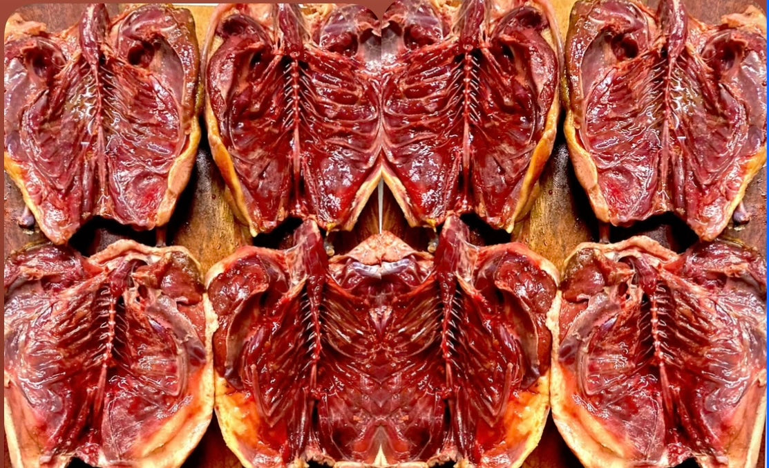 A grade salted mutton birds 8 x birds.Shipping cost shipped nz wide Flat Rate $26.50