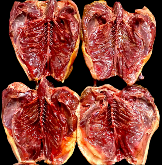 A grade salted mutton birds 4 x birds.Shipping cost shipped NZ wide Flat Rate $17.20